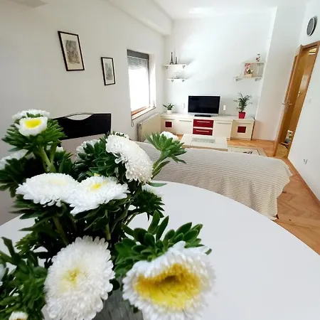 Apartamento Zoi Escópia